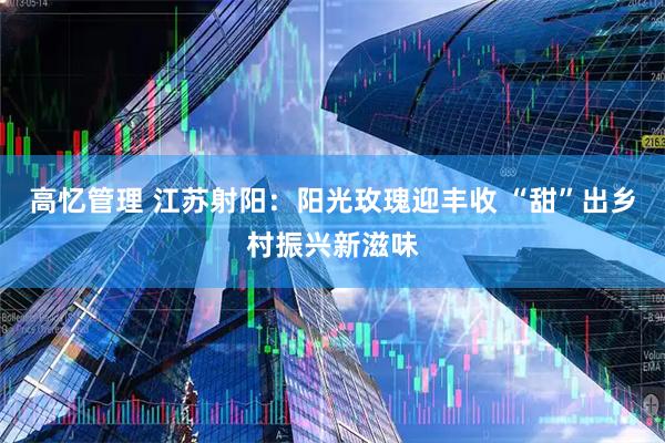 高忆管理 江苏射阳：阳光玫瑰迎丰收 “甜”出乡村振兴新滋味