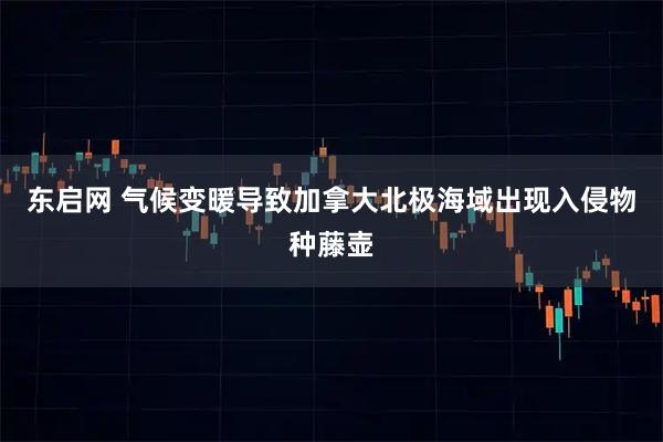 东启网 气候变暖导致加拿大北极海域出现入侵物种藤壶