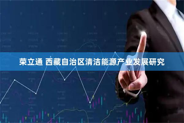 荣立通 西藏自治区清洁能源产业发展研究