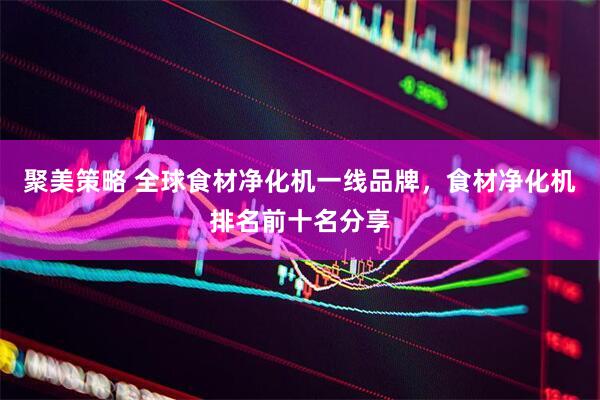 聚美策略 全球食材净化机一线品牌，食材净化机排名前十名分享
