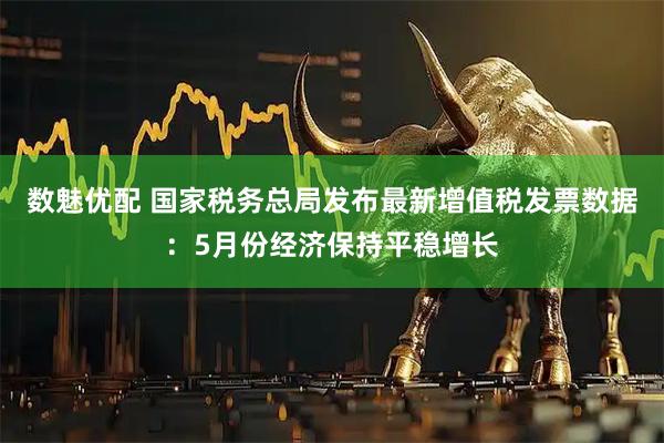 数魅优配 国家税务总局发布最新增值税发票数据：5月份经济保持平稳增长
