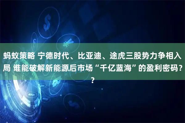 蚂蚁策略 宁德时代、比亚迪、途虎三股势力争相入局 谁能破解新能源后市场“千亿蓝海”的盈利密码？